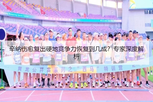 辛纳伤愈复出硬地竞争力恢复到几成？专家深度解析